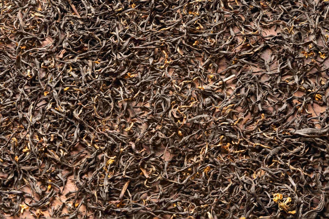 Premium Coffee Beans Harvest